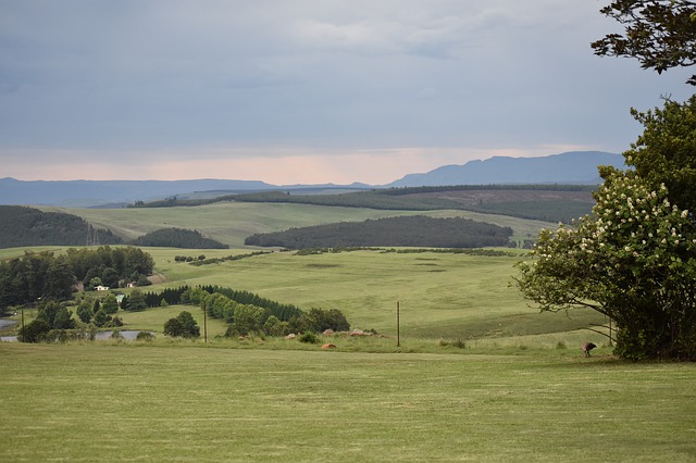 Drug and Alcohol Rehab Northamptonshire