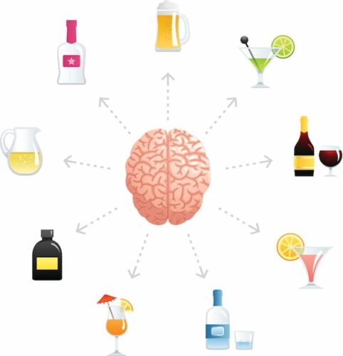 Alcohol effects on the brain